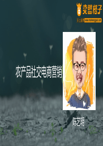 农产品社交电商营销