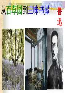 《从百草园到三味书屋》PPT课件精选2
