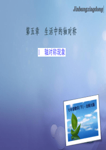 七年级数学下册5.1轴对称现象习题课件