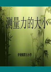 测量力的大小课件(极品)