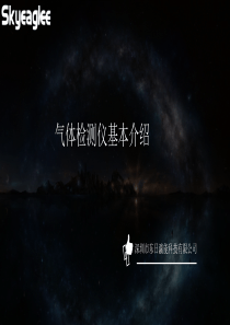 氟化氢气体检测仪PPT