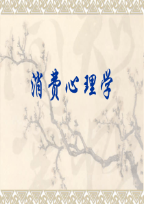 消费心理学培训资料PPT(共-45张)