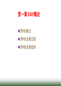 第1章+ERP概论