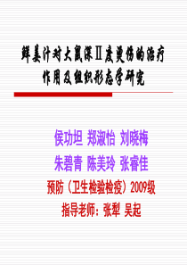 鲜姜汁对大鼠深Ⅱ度烫伤的治疗作用及组织形态学研究侯功坦