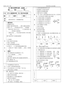 高三一轮复习学案10降低化学反应活化能的酶