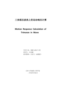 三体船在波浪上的运动响应计算