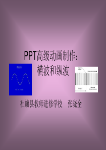 高级动画教程纵波和横波的传递
