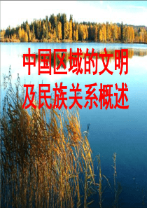高中历史中国区域的文明及民族关系