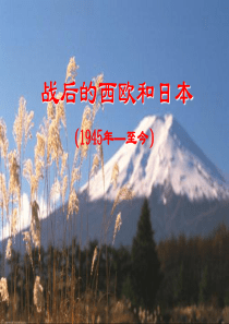 高中历史人民版必修二二战后的西欧和日本(高考要求难度)