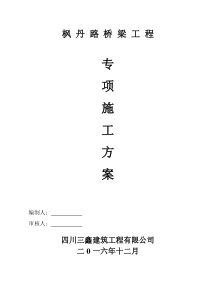 枫丹路桥梁施工方案