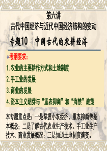 高中水平考试总复习第6课古代中国经济与近代中国经济结构的变动
