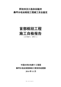 某工程首部枢纽工程施工自检报告