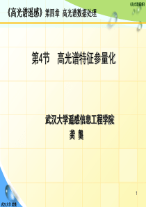 高光谱特征参量化.