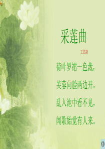 采莲曲闻歌始觉有人来【唐】王昌龄