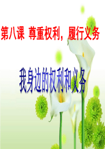 陕教版第八课《尊重权利,履行义务》第一课时《我身边的权利和义务》.