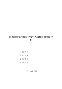 陕西信合银行延安分行个人消费贷款风险分析