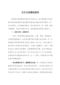 立行立改情况报告