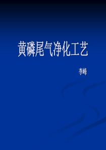 黄磷尾气净化工艺-峰峰.