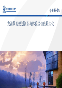 龙湖样板房售楼处及体验区景观设计创新与体验区价值最大化+课程资料
