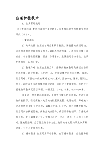 韭菜栽培技术