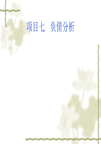 项目七___负债分析.
