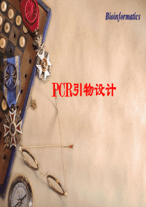 PCR引物设计