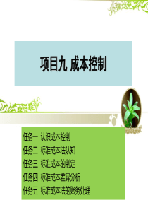 项目九成本控制