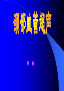 颈动脉超声.