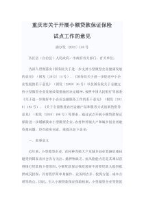 重庆市关于开展小额贷款保证保险试点工作的意见