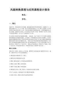 风能转换原理与应用课程设计报告
