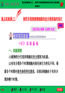 重点实验课(三)制作并观察植物细胞有丝分裂的临时装片.