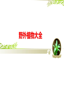 野外植物大全.