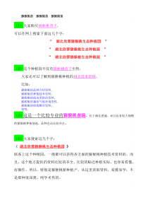 野生猕猴桃苗