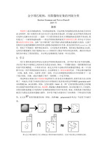 金字塔匹配核用图像特征集的判别分类