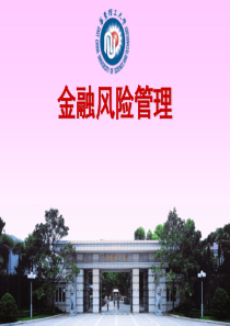 金融风险概述.