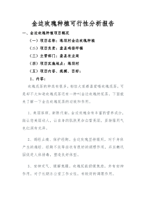 金边玫瑰种植可行性分析报告