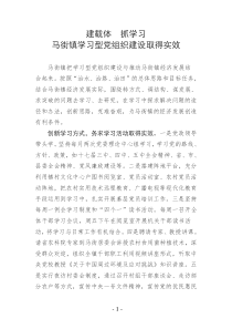 马街镇学习型党组织建设工作简报