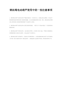 钢丝绳电动葫芦使用注意事项