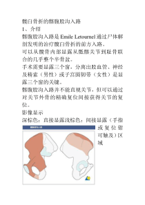 髂腹股沟入路解剖