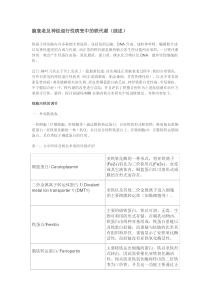 铁代谢与变性疾病