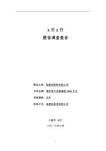 银行自来水厂项目贷款调查报告