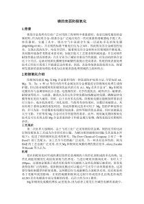 镁的表面阳极氧化