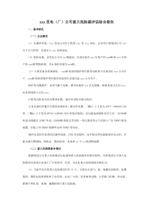 重大危险源评估综合报告