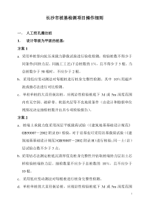 长沙市桩基检测项目操作细则