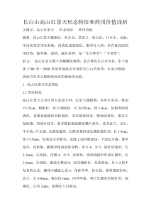 长白山高山红景天形态特征和药用价值浅析
