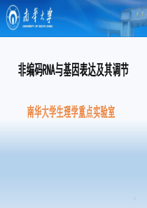 非编码RNA