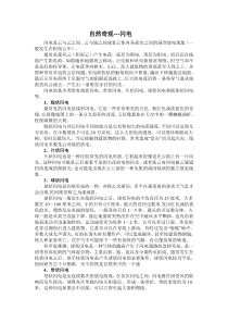 闪电的基本类型