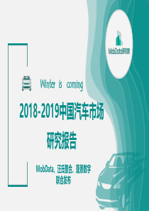 2018-2019中国汽车市场研究报告