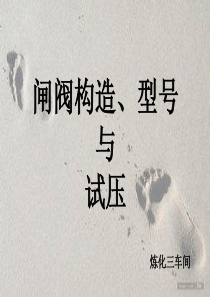 闸阀结构型号与试压