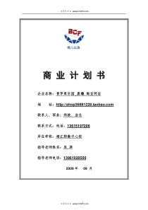 青苹果乐园淘宝网服装销售店商业计划书